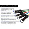 Resistance Bands Set with Handles - Adjustable 10-110 lbs, Lightweight