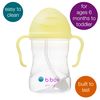 b.box Essential Sippy Cup Limited Edition (Banana Split)