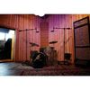 SE ELECTRONICS - X1 Series Large Condenser Microphone and Clip