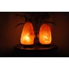 Himalayan Salt Table Lamp, 7"-9" Height, Dimmer Switch, Set of 2 Night Light