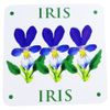 6 x Drinks Coasters. 6 assorted flowers