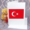Large (A4) 'Turkey Flag' Blank Greeting Card (GC00026123)