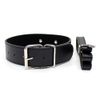 SMVIP Collar and Lead Set for Walking