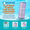 Hurricane 2 Pack HF9410-01P Platinum Purple Pool Filter Cartridge Replacement