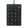 Sanwa Supply NT-18CUBK Wired USB Type-C Connection Isolation Key Black