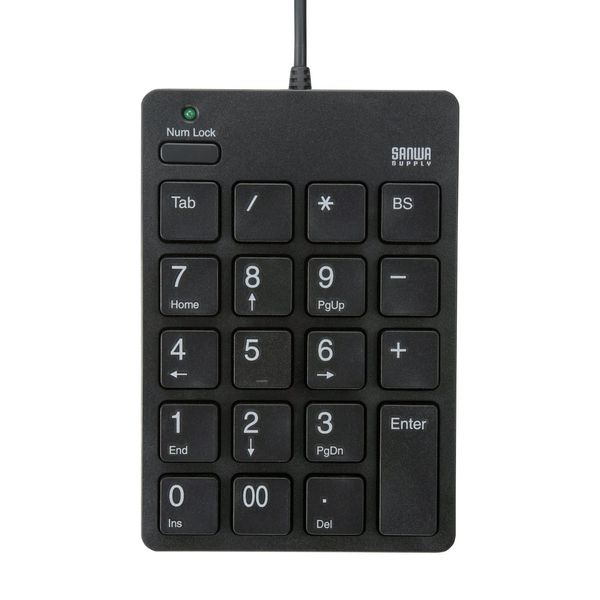 Sanwa Supply NT-18CUBK Wired USB Type-C Connection Isolation Key Black