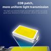 Telescopic Led Camping Lights Night Fishing Lights for Remote Control Camping