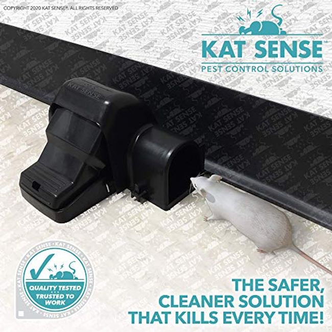 Kat Sense Covered Rat & Chipmunk Traps, Prevents Accidental Triggering with  Tunneled Design, Quick Humane Kill, Indoor 'N Outdoor Mouse Snap Traps