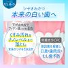 Pureora Liquid Toothpaste, Nanobrite Whitening, 13.5 fl oz (400 ml), Quasi-Drug