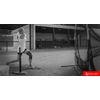 Premium Knee Stabilizer (EA)
