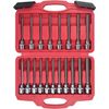19-Piece 3/8Inch Drive Extra Long Allen Hex Bit Socket Set Standard SAE & Metric