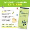 Dr. By Skin Probe Biotics Dog Supplement