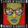 Remixes & Rarities (Deluxe Edition)