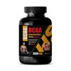immune support herbal supplement - BCAA 3000MG - l isoleucine capsules 1 BOTTLE