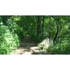 Virtual Hiking on Sharp Top Mountain, Va. Exercise DVD