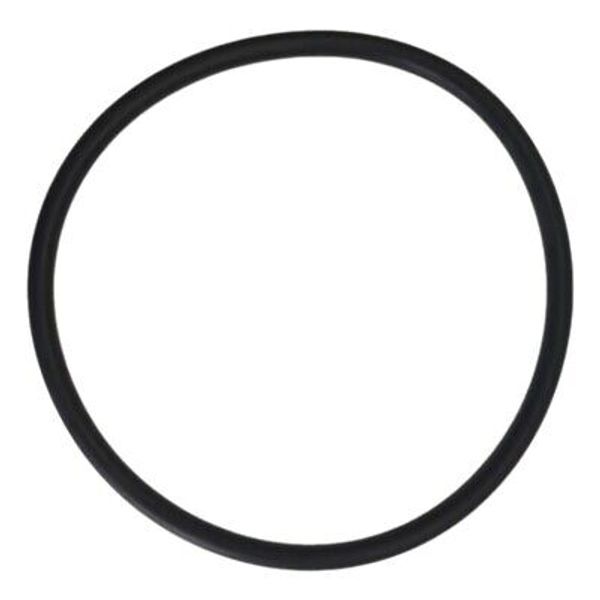WOR-FF O-Ring for Watts Full Flow Housing