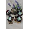 Moisturizing Hair Infusion - Youmans Touch Wellness
