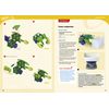 Thames & Kosmos Physics Solar Workshop (V 2.0) Science Kit Small