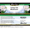 Turkey Tail Mushroom Cream (2 oz, ZIN: 521830) - 2 Pack