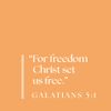 Live Free - DVD Set: A Study of Galatians
