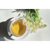 Chamomile Tea by Palm Beach Herbals  | 30ct, Caffeine-Free