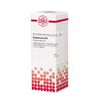 DHU Belladonna D10 Dilution, 20 ml Lösung