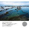 Carl Zeiss T* POL Filter (zirkular) 62mm