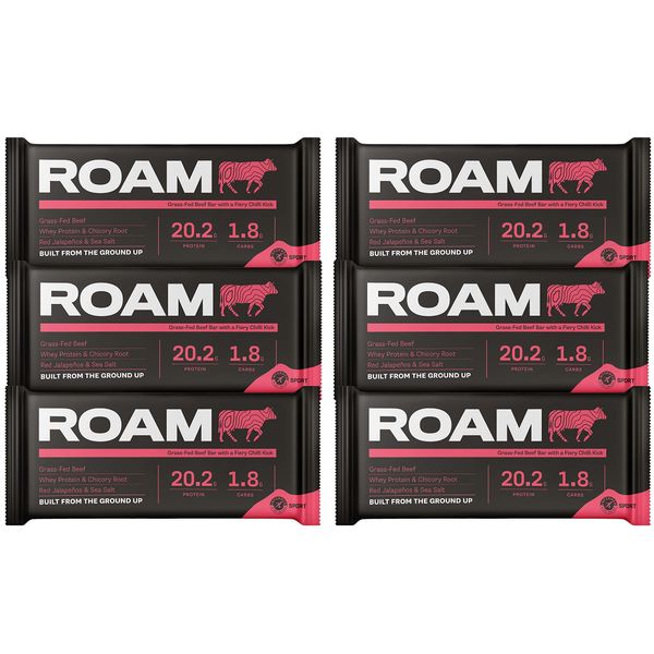 ROAM Natural Protein Bars, Meal Replacement Nutrition Bars, High Protein And Low Carb, Ideal For Healthy Diet (Jalapeño Chilli, 6 Count (Pack of 1))