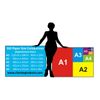 Abdominal Exercise Chart (A3 Laminated)