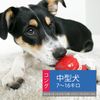 Kong Dog Toy, Kong, Size M