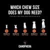 Canophera - Dog Chew Root Made of Briar Wood (Medium)