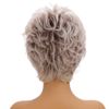 Short wigs for women (Brown Mix Gray)
