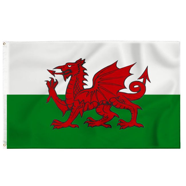 Storm&Lighthouse Welsh Flag Cymru Wales Flag 5ft x 3ft with Eyelets St Davids Day Red Dragon Flag Six Nations UK Flag