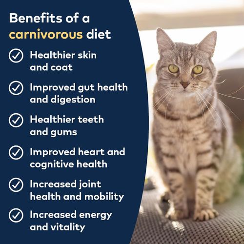 ZIWI Peak Air-Dried Cat Food – All Natural, High Protein, Grain Free & Limited Ingredient with Superfoods (Lamb), 14 Ounce (Pack of 1)
