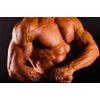 Nitric Oxide 3150mg Serious Mass Gainer 180 Capsules 2 Bottles