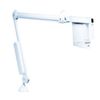 BURTON Task Examination Light Head & Arm, SE50, 240V, Ceiling (no mount) 4000084