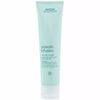 Aveda Smooth Infusion Naturally Straight - 5 fl oz