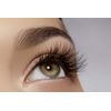 Dorisue Wispy eyelashes Brown lashes Natural looking false eyelashes Lightweight Reuseable 5 Pair Set X4