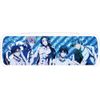 Free! Slim Pencase A