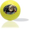 Halloween Horror Golf Balls 12 Pack: Tee Off with Terrifying Themed Designs