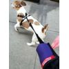Don't Forget Pocket Strap-No dangle 2roll poo bag dispenser-LIFE TIME GUARANTEE