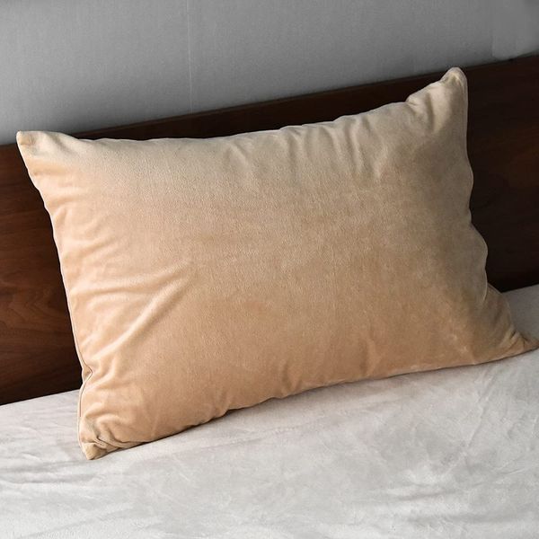 Sleep Tailor Pillowcase 43x63cm Warm Microfiber Pillow Case Sheet Washed Winter Warm Fluffy Nordic High Density Thermal Pillow Cover Smoother Than Fleece Bene (Caramel Beige)