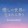 Harukado Aroma Hour Plate 3 Pack Mild Savon