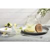 Lime and Salt Rimmer Margarita Set