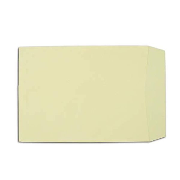 Square 2 Envelopes Soft Ice Cream 3.5 oz (100 g), Large Paste 500 Sheets (K22251)