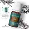 Young Living Pine Essential Oil 15ml