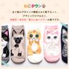 Neko Town Cat Socks, 5 Pair Set, Women's, Ankle Length, Cat Pattern, Type D