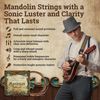 Dean Markley 2402 .011 - .037 Light PhosBronze Mandolin Strings