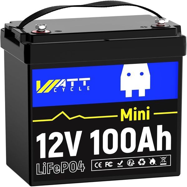 Mini 12V 100Ah LiFePO4 Lithium Battery BMS for RV Solar Off-grid Trolling Motor