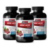 regulate uric acid levels - Uric Acid Formula 1430mg 3B - natural fruit blend